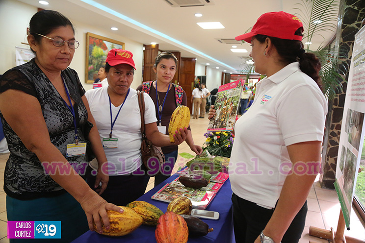 Nicaragua desarrolla Primer Congreso Internacional sobre Producción Sostenible de Cacao Fino